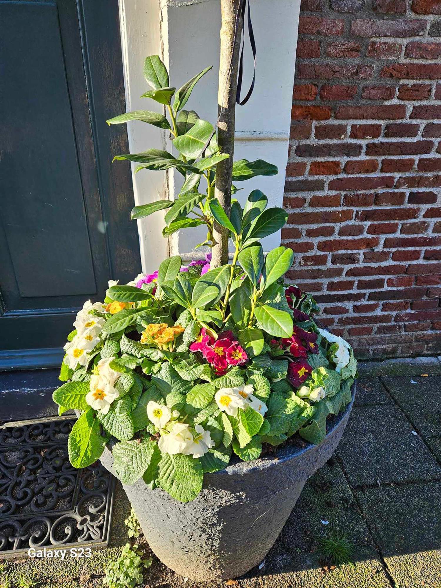 De Stadsboerderij Kampen Exterior photo